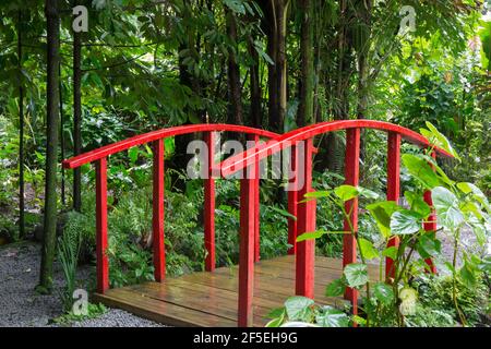 Soufriere, St. Lucia. Malerische rote Holzbrücke inmitten tropischer Vegetation in den Diamond Falls Botanical Gardens. Stockfoto