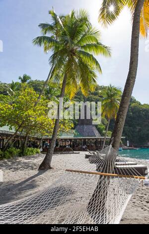 Soufriere, St. Lucia. Hängematte zwischen Kokospalmen am Sandstrand, Anse Chastanet. Stockfoto