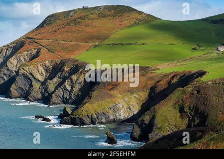 Felsklippen auf der Lochtyn Peninsula bei Llangrannog auf dem Coast Path. Rechts unten befindet sich der Felszahn des Giant Bica. Llangrannog, Ceredigion, Wales Stockfoto