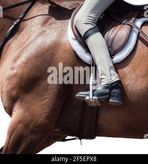 Abstrakte Kunst des Pferdes i9n volle Galopp im Wettbewerb Stockfoto