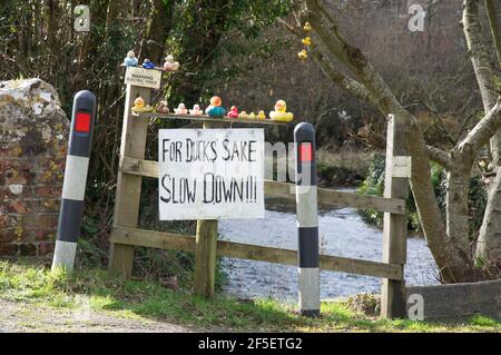 Skurrile handschriftliche Schild sagt "für Enten willen verlangsamen". Neben einer schmalen kurvenreichen Landstraße, die sich dem Dorf toller Porcorum nähert. Dorset. Stockfoto