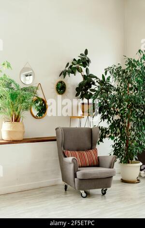 Grüne Ecke mit Pflanzen im Inneren des Hauses. ficus in einem Weidentopf. Blumen auf einem Stand. Großer grüner Baum zu Hause. Gemütliche Unterkunft. Stockfoto