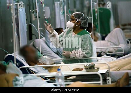 Sao Paulo, Brasilien. März 2021, 25th. Ein Arzt behandelt einen Corona-Patienten in einem Feldlazarett mit 110 Betten. Quelle: Andre Lucas/dpa/Alamy Live News Stockfoto