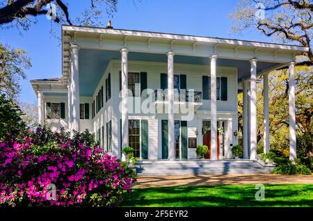 Azaleen blühen im Bragg-Mitchell Mansion, 21. März 2021, in Mobile, Alabama. Das 1855 Griechische Revival Vorkriegshaus ist eine beliebte Attraktion. Stockfoto