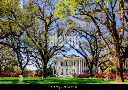 Azaleen blühen im Bragg-Mitchell Mansion, 21. März 2021, in Mobile, Alabama. Das 1855 Griechische Revival Vorkriegshaus ist eine beliebte Attraktion. Stockfoto