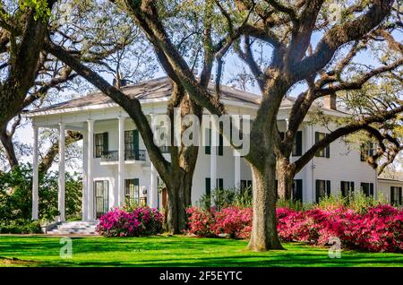 Azaleen blühen im Bragg-Mitchell Mansion, 21. März 2021, in Mobile, Alabama. Das 1855 Griechische Revival Vorkriegshaus ist eine beliebte Attraktion. Stockfoto