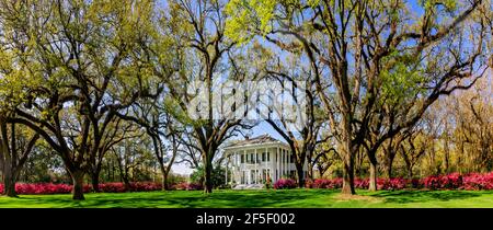 Azaleen blühen im Bragg-Mitchell Mansion, 21. März 2021, in Mobile, Alabama. Das 1855 Griechische Revival Vorkriegshaus ist eine beliebte Attraktion. Stockfoto