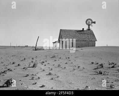 Dust Bowl Farm. Coldwater District, nördlich von Dalhart, Texas. Dieses Haus ist besetzt; die meisten Häuser in diesem Bezirk wurden verlassen. Juni 1938. Foto von Dorothea lange. Stockfoto