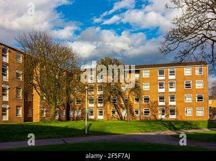 Fallowfield Halls of Residence auf dem Campus der University of Manchester England GB Stockfoto