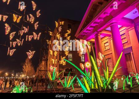 Liverpool. River of Light Trail. 23. März - 5. April 2021. Stockfoto