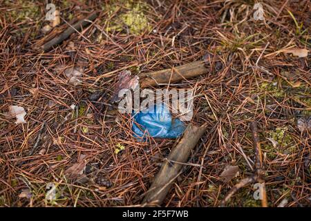 Eine abgeflachte Plastikflasche liegt im Wald und entsorgt Zerlegt sich nicht Stockfoto