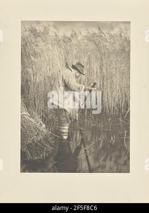 Ein Reed-Cutter bei der Arbeit. Peter Henry Emerson (Brite, geb. Kuba, 1856 - 1936) Stockfoto