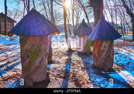 Der verschneite Wald Lichtung mit traditionellen Baumkrüben, gegen die Sonne gesehen, Pyrohiv Skansen, Kiew, Ukraine Stockfoto