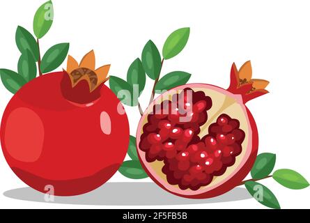 Granatapfel Obst Illustration mit Blatt Vektor isoliert Stock Vektor