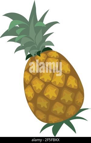 Ananas Vector Illustration auf weißem Hintergrund Stock Vektor