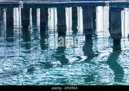 L'AVI Agusti Mussel Farm, Sant Carles de la Rapita Village, der Naturpark Ebre Delta, Terres de l'Ebre, Tarragona, Katalonien, Spanien Stockfoto