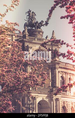 17. Mai 2019 Dresden, Deutschland - Dresdner Semperoper, Vorderansicht im Frühjahr. Blühende Äste im Vordergrund. Stockfoto