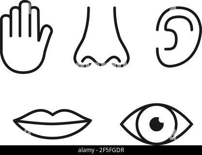 Umriss Icon Set von fünf menschlichen Sinnen: Vision (Auge), Geruch (Nase), Hören (Ohr), Berührung (Hand), Geschmack (Mund mit Zunge). Stock Vektor