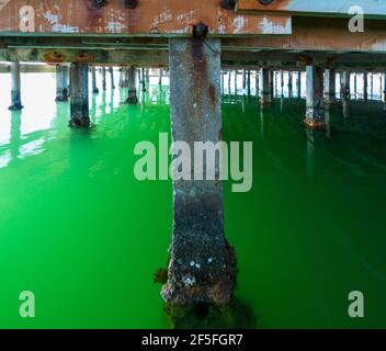 L'AVI Agusti Mussel Farm, Sant Carles de la Rapita Village, der Naturpark Ebre Delta, Terres de l'Ebre, Tarragona, Katalonien, Spanien Stockfoto