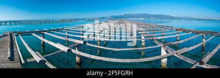 L'AVI Agusti Mussel Farm, Sant Carles de la Rapita Village, der Naturpark Ebre Delta, Terres de l'Ebre, Tarragona, Katalonien, Spanien Stockfoto