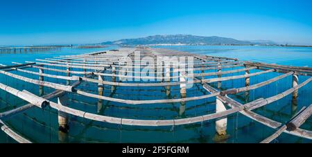 L'AVI Agusti Mussel Farm, Sant Carles de la Rapita Village, der Naturpark Ebre Delta, Terres de l'Ebre, Tarragona, Katalonien, Spanien Stockfoto