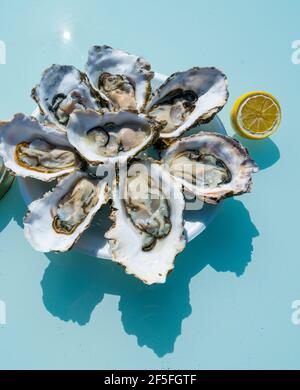 L'AVI Agusti Mussel Farm, Sant Carles de la Rapita Village, der Naturpark Ebre Delta, Terres de l'Ebre, Tarragona, Katalonien, Spanien Stockfoto