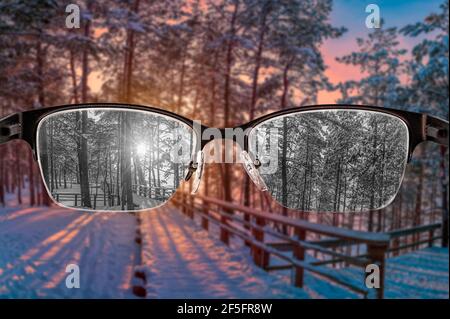 Blick durch die Brille zu schwarz-weiß Sonnenuntergang im Winter Wald Blick in Frauen Brille fokussiert. Farbblindheit. Weltwahrnehmung Stockfoto