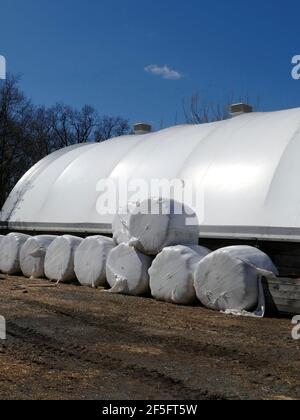 Hay-Fässer, die auf einer Farm in Plastik verpackt sind Stockfoto