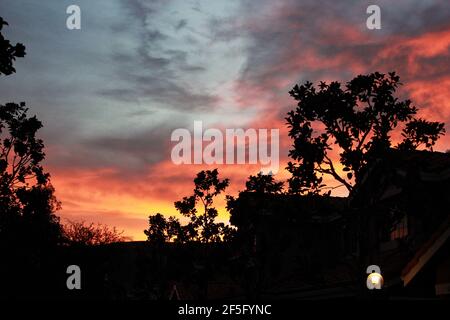 Sonnenuntergang an Halloween Stockfoto