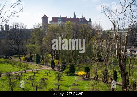 Wawel-Königsschloss, Krakau, Polen, in romanischer und gotischer Architektur; erstes UNESCO-Weltkulturerbe, an einem klaren Frühlingstag Stockfoto