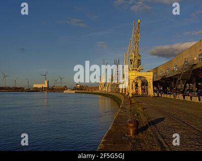 Kais des Hafens von Antwerpen, mit alten Industriekranen im warmen Abendlicht Stockfoto