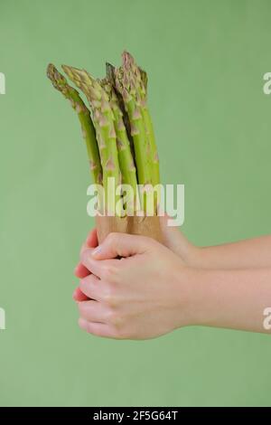 Grüner Spargel in einer Basteltasche in weiblichen Händen auf hellgrünem Hintergrund.Spargelsaison. Frühlingsgemüse. Gezüchtetes Bio-Gemüse Pur Stockfoto