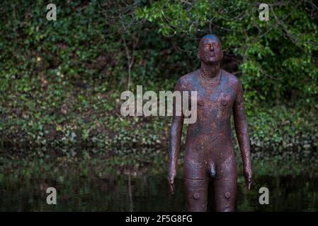 Eine von Sir Antony Gormleys '6-mal'-Skulpturen im Wasser von Leith hinter der Gallery of Modern Art, Edinburgh, Schottland. GROSSBRITANNIEN. Stockfoto