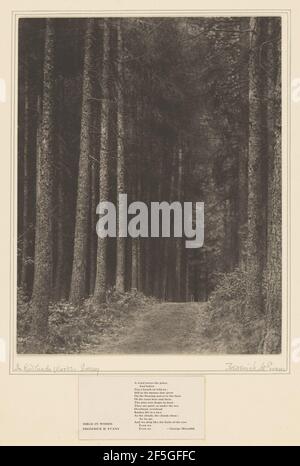 In Redlands Woods, Surrey. Frederick H. Evans (Großbritannien, 1853 - 1943) Stockfoto