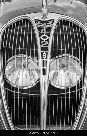 Französischer Oldtimer; Peugeot Legere 402 B, mit Kühlergrill-Scheinwerfer und Logo. Stockfoto