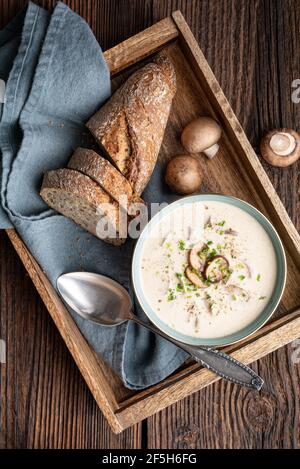 Köstliches Mittagessen, beruhigende Pilzsuppe mit frisch gehacktem Schnittlauch, serviert mit knusprigem Brot auf rustikalem Holzhintergrund Stockfoto