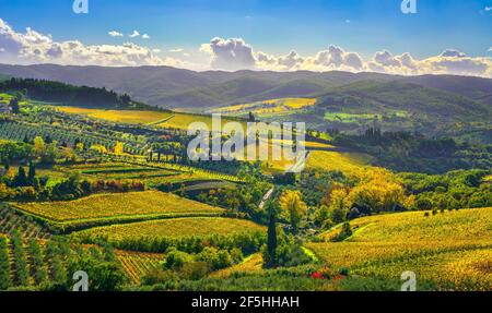 Panzano in Chianti Weinberg und Panorama im Herbst. Toskana, Italien Europa. Stockfoto