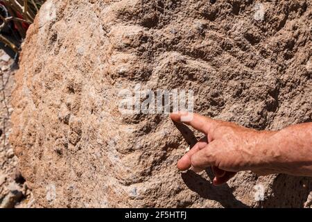 Hand eines Mannes zeigt auf Schnitzereien auf Felsen oder Petroglyphen in der Höhle von San Borjita in der mexikanischen Bundesstaat Baja California Sur Stockfoto