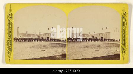 OX Team, 12 Joch. Shaker Village, Canterbury, New Hampshire. Willis G.C. Kimball (Amerikanisch, 1843 - 1916) Stockfoto