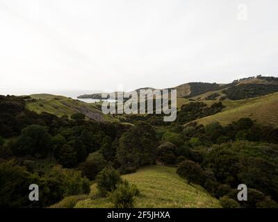 Panoramablick auf grüne Gras hügelige Coromandel Peninsula islands Bay vom Manaia Saddle Lookout State Highway 25 SH25 Aussichtspunkt Kereta Waika Stockfoto