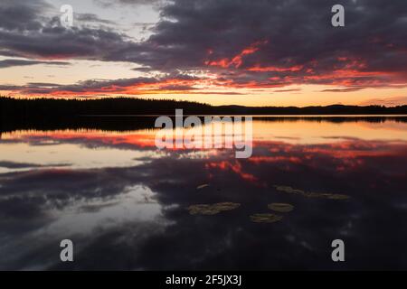 Schöne Sonneneinklang über einem ruhigen See in schweden nach einem Sommertag, Seerosenblätter auf der Oberfläche Stockfoto