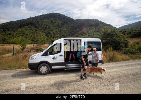 Nydia Track mit Hund, Kaiuma Bay nach Duncan Bay, Marlborough, Neuseeland Stockfoto