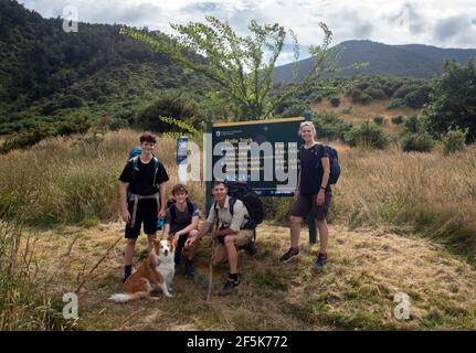 Nydia Track mit Hund, Kaiuma Bay nach Duncan Bay, Marlborough, Neuseeland Stockfoto