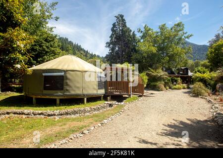 Nydia Track mit Hund, Kaiuma Bay nach Duncan Bay, Marlborough, Neuseeland Stockfoto