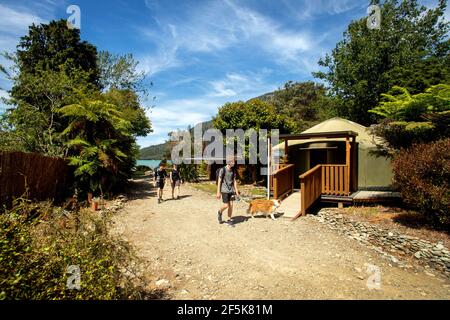 Nydia Track mit Hund, Kaiuma Bay nach Duncan Bay, Marlborough, Neuseeland Stockfoto