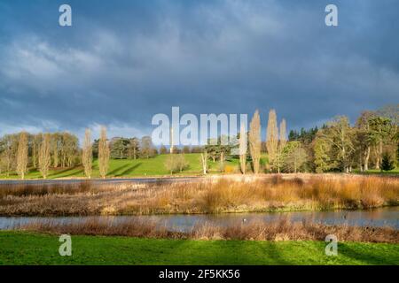 Blenheim Schlosspark in der frühen Morgensonne des Frühlings kurz nach Sonnenaufgang. Woodstock, Oxfordshire, England Stockfoto