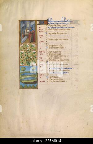 Februar Kalenderseite; Warmhalten; Fische. Unbekannt Stockfoto