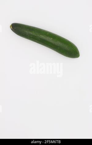 Isolierte Gurke. Eine ganze Gurke isoliert auf weißem Hintergrund Stockfoto