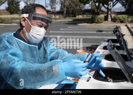 Chino Hills, Kalifornien. März 2021, 24th. Ein Techniker untersucht eine Blutprobenflasche aus der Zentrifugenmaschine auf der GUARDaHEART No Cost COVID-19 Antikörper-Tests in der Kirche Jesu Christi der Heiligen der Letzten Tage in Chino Hills, Kalifornien statt. Bild: Sheri Determan Stockfoto