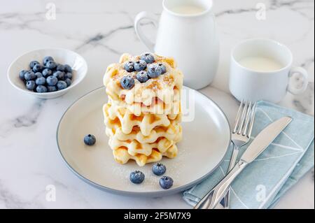 Hausgemachte Vanillewaffeln mit Zuckerpulver und Waldfrüchten auf einem Teller, perfektes Familienfrühstück. Stockfoto